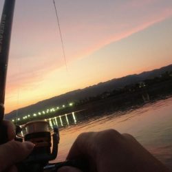 チヌもハネも大きいサイズがなかなか釣れない